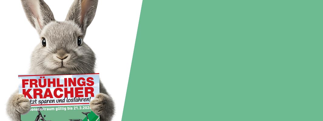 Aktionen, Prospekte & Angebote