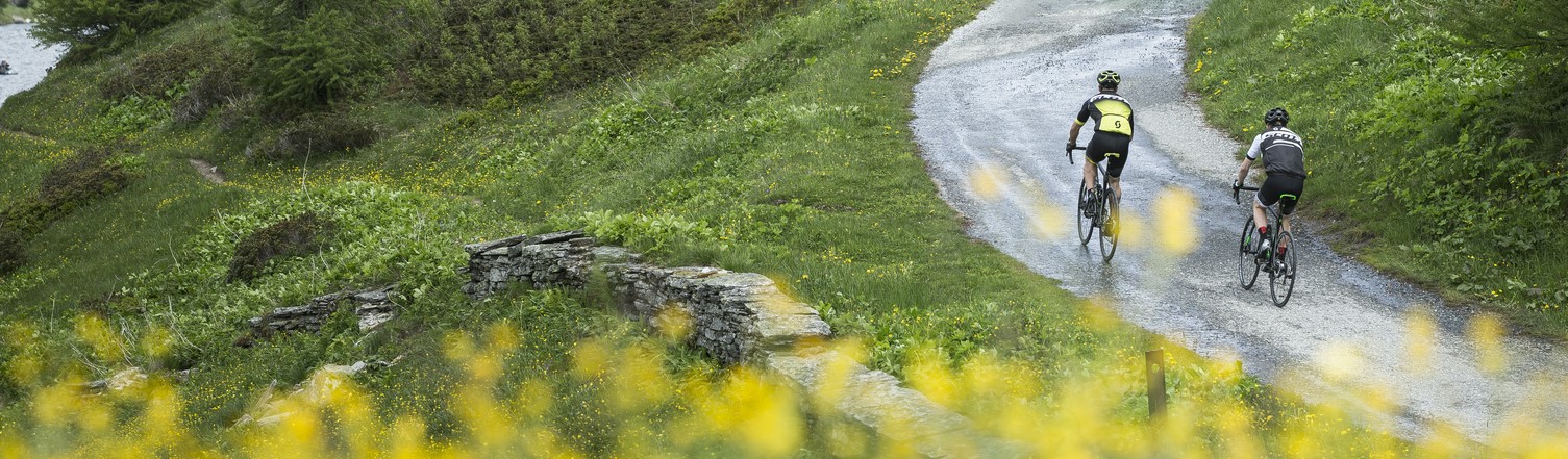 Fitnessbikes & Rennräder